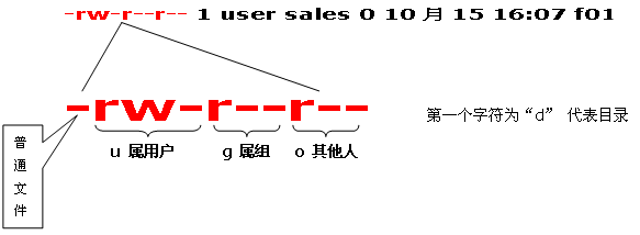 常用命令--chmod--chown--区别第1张-来时的路